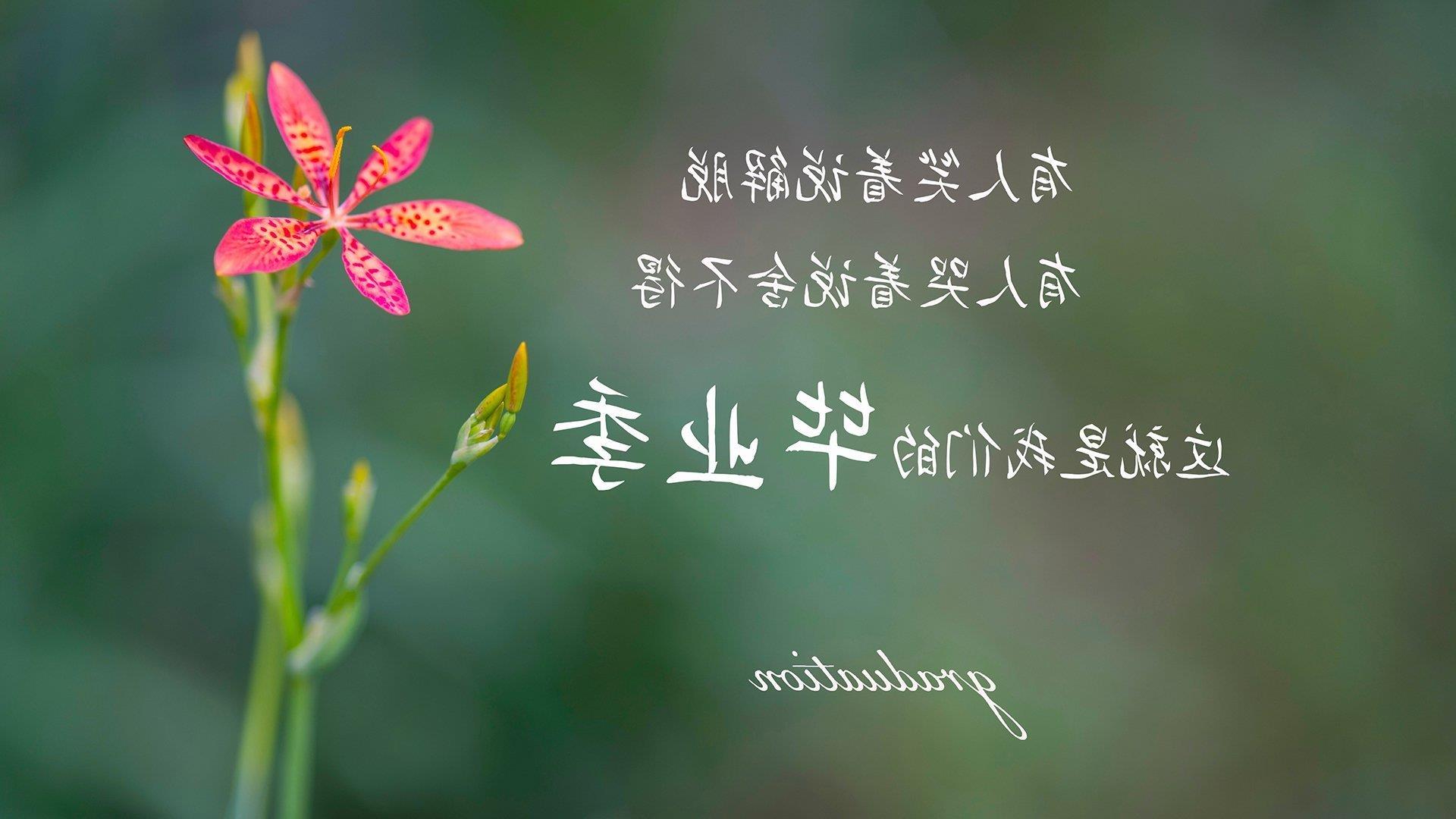 _运动员比赛心得：面对强敌的心态调整_，运动员战胜自己
